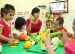 Chứng chỉ quản lý mầm non bao nhiêu