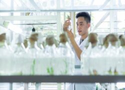 Học Trung cấp Bảo vệ thực vật