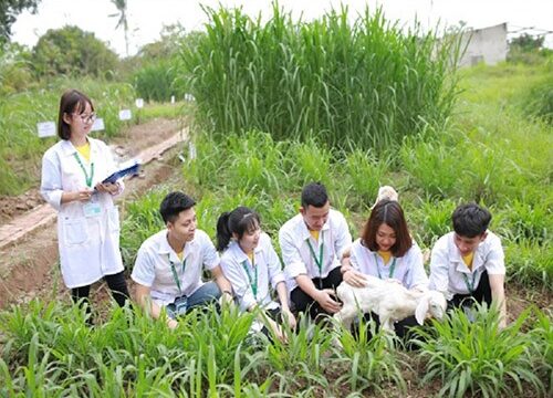 Học Trung cấp Nông nghiệp