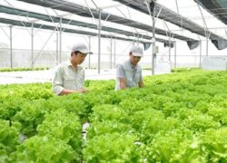 Học Trung cấp Nông nghiệp