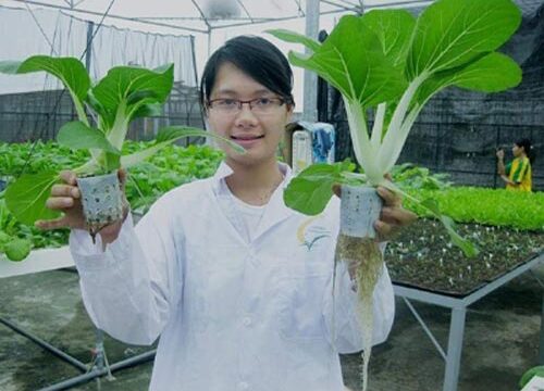 Trung cấp Bảo vệ thực vật học gì