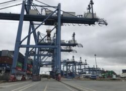 Học Chứng Chỉ Lái Cẩu Cảng Bao Lâu | Học Viện EduPro